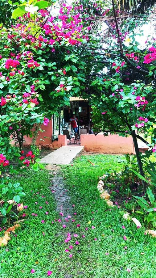 Estacao Lunar - Terra Ronca * Sao Domingos de Goias