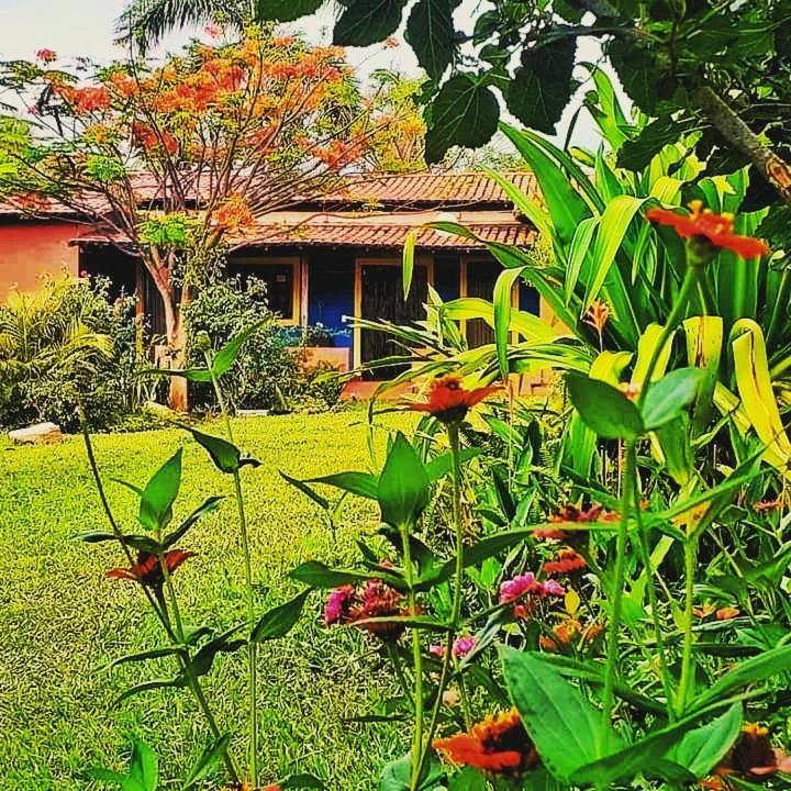 Estacao Lunar - Terra Ronca Guest house *